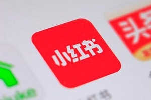 【勇锶2046期】2021 年小红书策划运营方案与报告 爆款打造秘籍