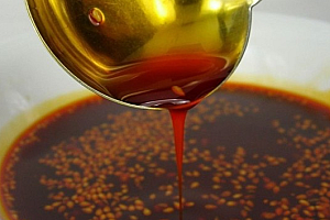 【VIP免费】秘制辣椒油小吃技术配方做法