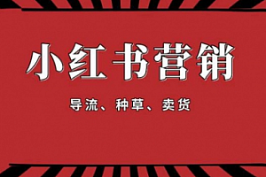 【勇锶1917期】手把手教做小红书帐号,一篇笔记涨粉10000,月入十万的博主秘笈