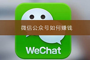【勇锶2010期】零基础做出能赚钱的顶级公众号 制作高转化率文案