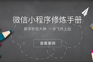 【勇锶2045期】小程序修炼手册 49份小程序运营技巧与市场研报 新手秒变大神