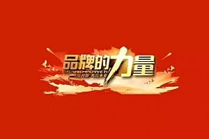 【勇锶2015期】从0开始打造深入人心的品牌,让用户爱不释手