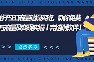 【第2135期】2021年附子SEO流量站操实班,教你免费获得百万流量及变现实操【完结附软件】