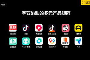 【第2339期】飞书:如何实现团队提效与组织升级,市场中获胜的法宝