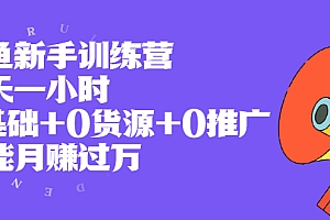 【第2407期】闲鱼新手训练营,每天一小时,0基础+0货源+0推广 也能月赚过万
