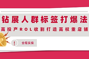 【第2437期】钻展人群标签打爆法,高投产ROL收割打造高权重店铺(全程实操)