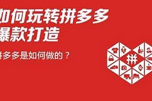 【第2469期】拼多多超级爆款操盘手全案课,教你新店0-1快速突破