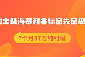 【第2487期】淘宝蓝海暴利非标品先品思路,7个月37万纯利润,压箱干货分享!
