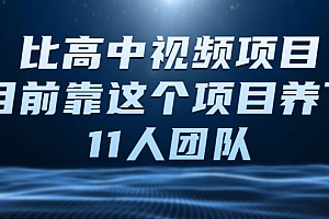 【第2592期】中视频项目,目前靠这个项目养了11人团队