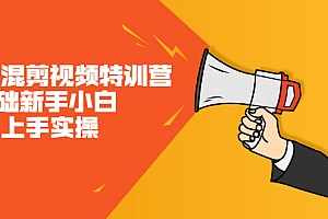 【第2605期】二次混剪视频特训营,0基础新手小白都能上手实操,两天开干