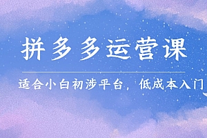 【第2796期】拼多多运营课,适合小白初涉平台,低成本入门 创造销量和利润的方法