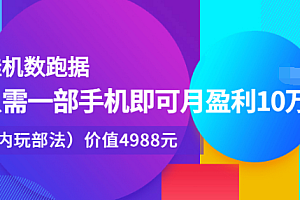 【第2840期】挂机数跑据,只需一部手机即可月盈利10万+(内部玩法)价值4988元