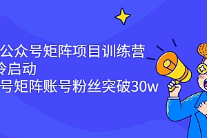 【第2872期】蓝海公众号矩阵项目训练营,0粉冷启动,公众号矩阵账号粉丝突破30w