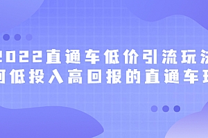 【第2882期】2022直通车低价引流玩法,教大家如何低投入高回报的直通车玩法