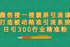 【第2885期】微信搜一搜霸屏引流课,打造被动精准引流系统 日引300行业精准粉【无水印】