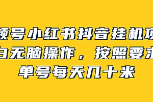 【第2904期】视频号小红书抖音挂机项目,小白无脑操作,按照要求来,单号每天几十米