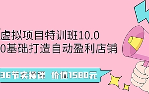【第2960期】虚拟项目特训班10.0,0基础打造自动盈利店铺 36节实操课 价值1580元