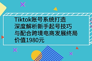 【第2972期】Tiktok账号系统打造,深度解析新手起号技巧与跨境电商发展终局价值1980元