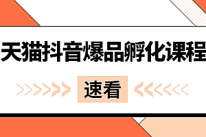 【第2991期】《天猫抖音爆品孵化课程》独家绝密新品引爆法