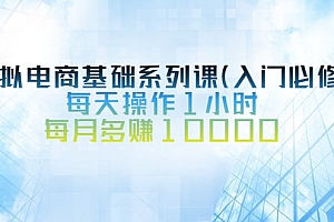 【第2995期】虚拟电商基础系列课(入门必修),每天操作1小时,每月多赚10000