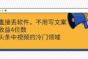 【第3004期】直接丢软件,不用写文案,收益4位数头条中视频的冷门领域
