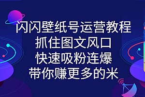 【第3222期】闪闪壁纸号运营教程,抓住图文风口,快速吸粉连爆,带你赚更多的米