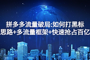 【第3226期】拼多多流量破局:如何打黑标,爆款思路+多流量框架+快速抢占百亿流量