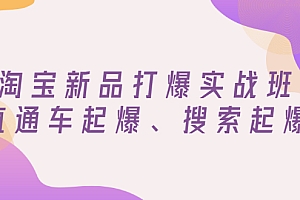 【第3272期】淘宝新品打爆实战班,直通车起爆、搜索起爆(价值599元)