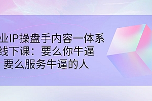 【第3308期】商业IP操盘手内容一体系线下课:要么你牛逼,要么服务牛逼的人(价值16800)