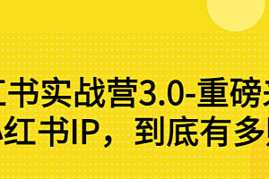 【第3315期】小红书实战营3.0-重磅来袭:做好小红书IP,到底有多赚钱?(价值7999元)