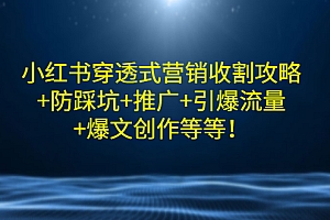 【第3358期】小红书穿透式营销收割攻略+防踩坑+推广+引爆流量+爆文创作等等