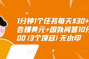 【第3410期】1分钟1个任务每天$30+点击广告赚美元+国外问答10分钟赚100 (3个项目)无水印