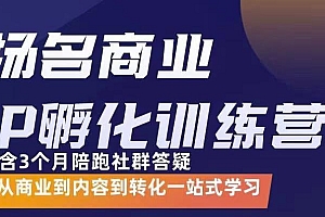 【第3480期】商业IP孵化训练营,从商业到内容到转化一站式学 价值5980元