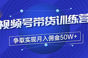 【第3607期】收费4980的《视频号带货训练营》争取实现月入佣金50W+(课程+资料+工具)