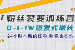 【第3631期】「粉丝裂变训练营」0-1-1w爆发式增长,24小时不断的涨粉-睡觉也在涨-16节课