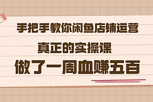 【第3687期】2022版《手把手教你闲鱼店铺运营》真正的实操课 做了一周血赚五百 (16节课)