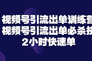 【第3705期】视频号引流出单训练营,视频号引流出单必杀技,2小时快速单(价值9999)