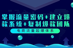 【第3733期】电商流量起爆体系:掌握流量密码+建立爆款系统+复制爆款团队(价值599)