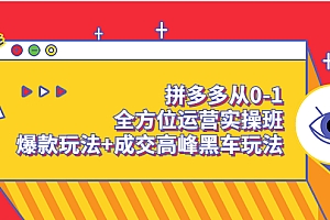 【第3754期】拼多多从0-1全方位运营实操班:爆款玩法+成交高峰黑车玩法(价值1280)