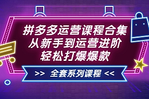 【第3761期】拼多多运营课程合集:从新手到运营进阶,轻松打爆爆款(全套系统课程)