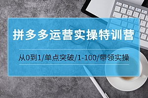 【第3763期】青云:拼多多运营实操特训营:从0到1/单点突破/1-100/带领实操 价值2980元
