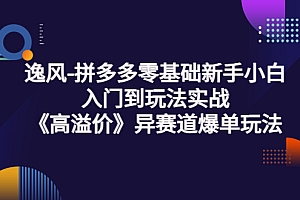 【第3777期】逸风-拼多多零基础新手小白入门到玩法实战《高溢价》异赛道爆单玩法实操课