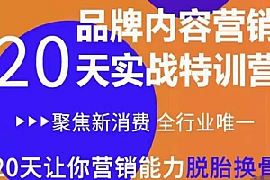 【第3799期】《内容营销实操特训营》20天让你营销能力脱胎换骨(价值3999)