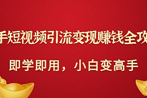 【第3844期】快手短视频引流变现赚钱全攻略:即学即用,小白变高手(价值980元)
