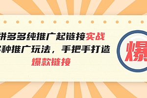 【第3940期】拼多多纯推广起链接实战:多种推广玩法,手把手打造爆款链接