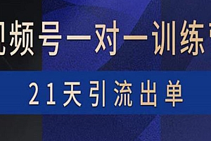 【第3968期】视频号训练营:带货,涨粉,直播,游戏,四大变现新方向,21天引流出单