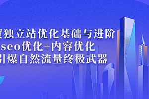 【第3972期】外贸独立站优化基础与进阶,seo优化+内容优化+引爆自然流量终极武器