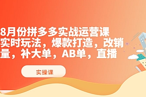 【第3975期】拼多多实战运营课,实时玩法,爆款打造,改销量,补大单,AB单,直播