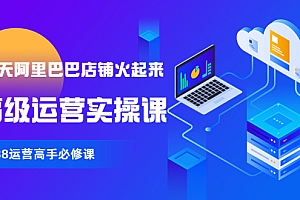 【第3992期】【90天阿里巴巴店铺火起来】高级运营实操课,1688运营高手必修课