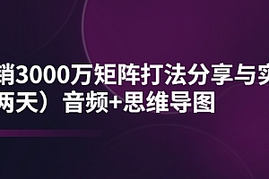 【第4019期】某线下培训:月销3000万矩阵打法分享与实操(两天)音频+思维导图